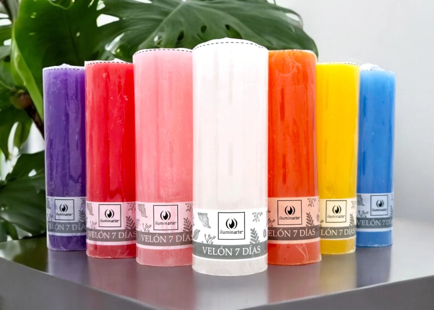 VELON ILUMINARTE 7 DIAS